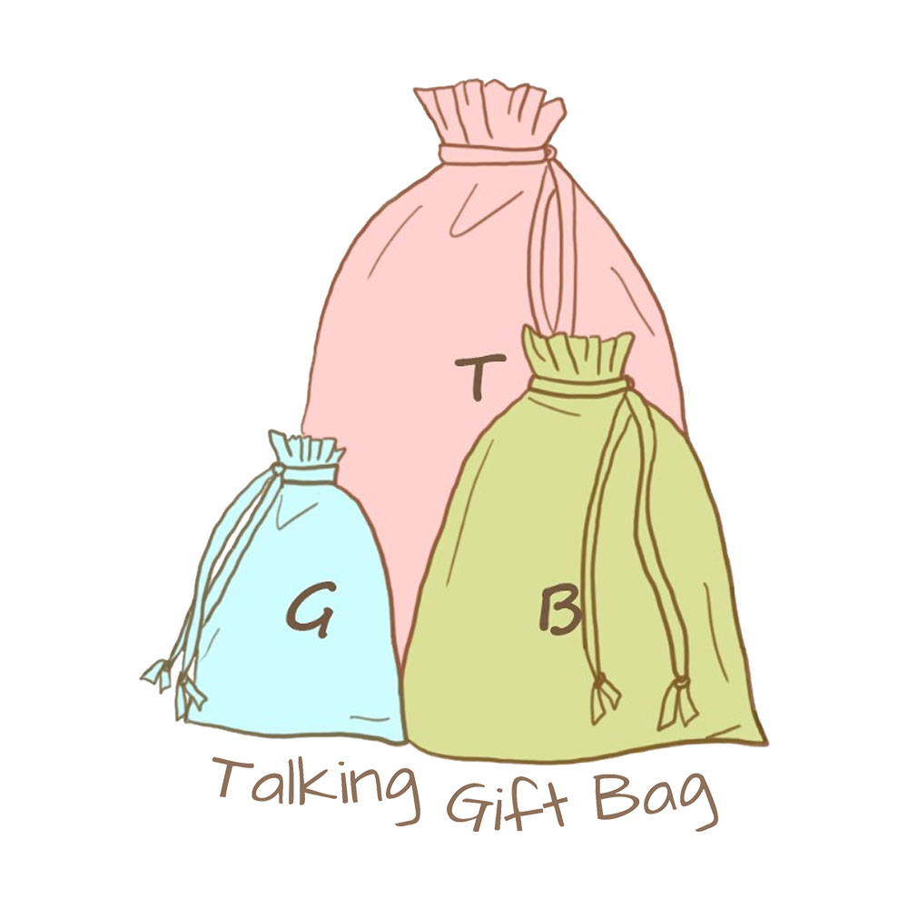 Talking Gift Bag